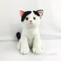 봉제 고양이 박제 동물 장난감